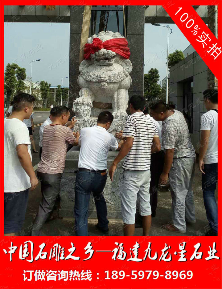 獅子-14