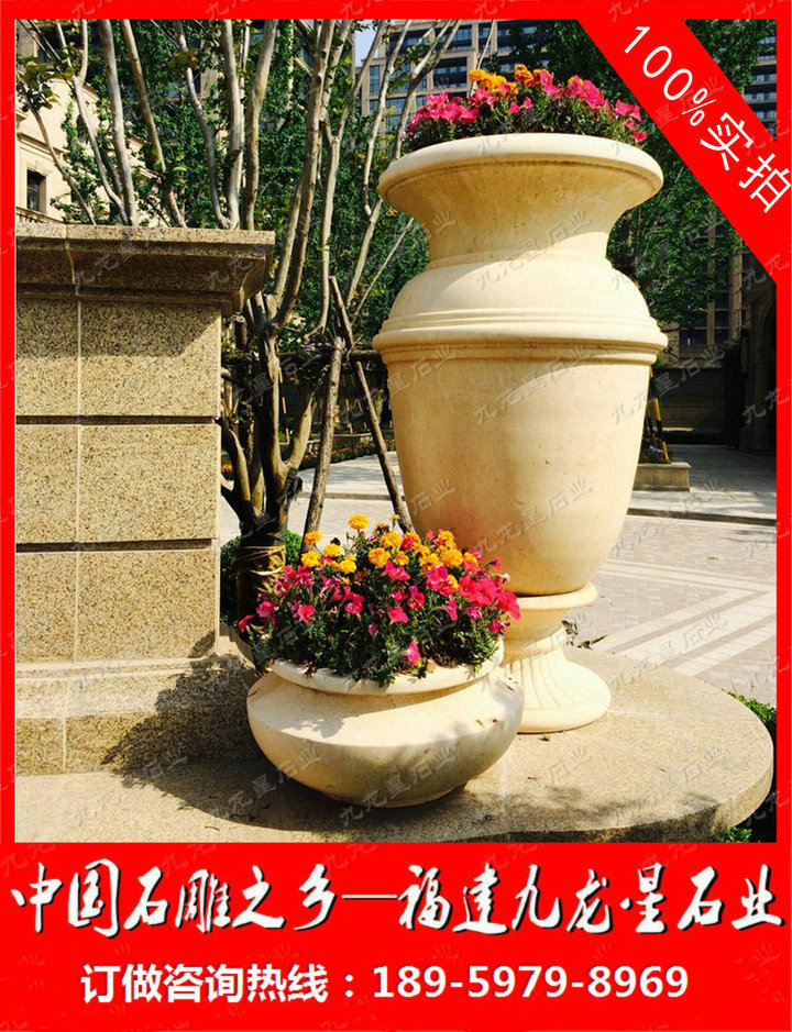 埃及米黃花缽